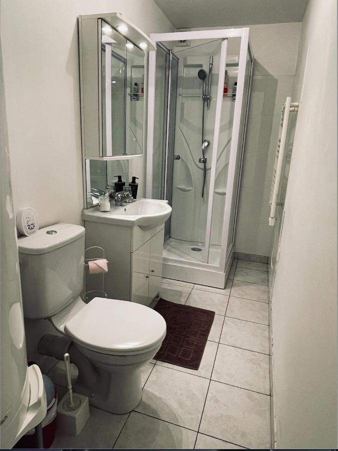 Appartement Avec Parking Gratuit Et Wifi Vierzon Extérieur photo