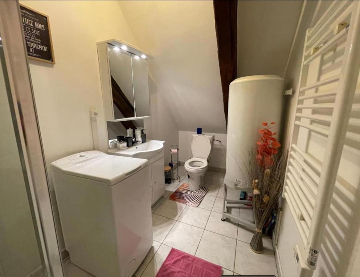 Appartement Avec Parking Gratuit Et Wifi Vierzon Extérieur photo